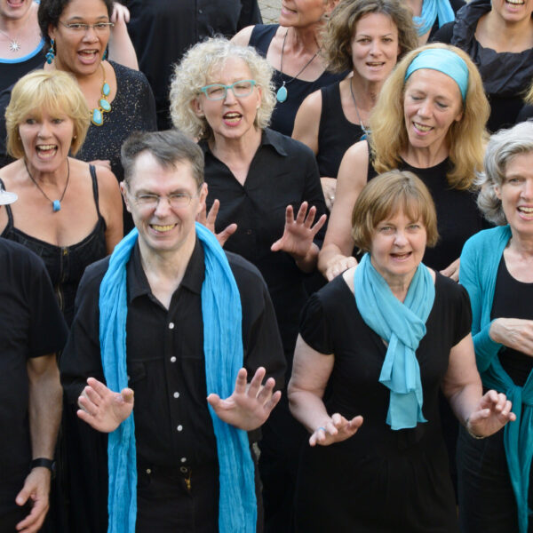 Schnuppertermin Vokal-Ensemble 90 Minuten